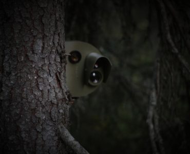 Surveillance camera behind a tree. Vignetting was added.